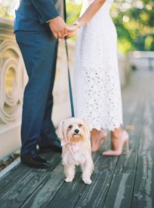 bethesda terrace engagement